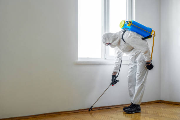 Best Real Estate Pest Inspections  in Attica, MI